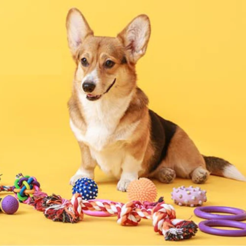 Pet Supplies